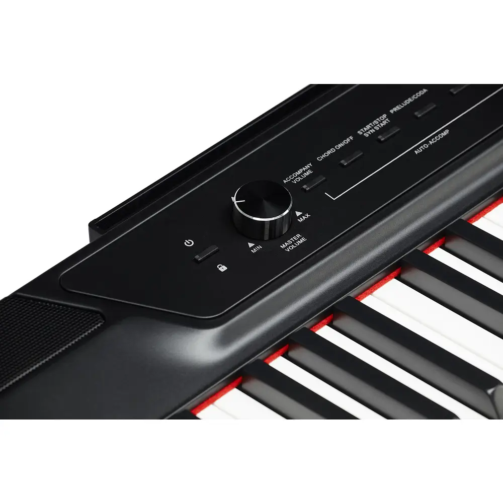 Цифровое пианино Pearl River P200 BK + W-стойка + 3 педали