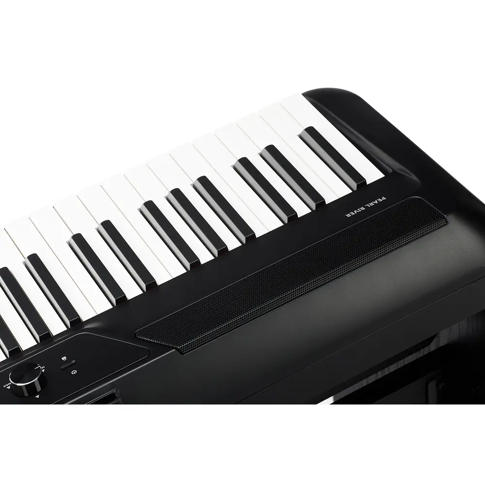 Цифровое пианино Pearl River P200 BK + W-стойка + 3 педали